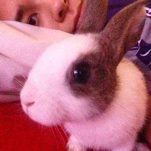 Meet your Posher, Laurie